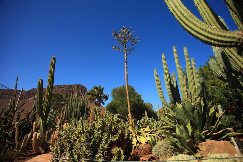 Bungalow Colorado With Garden #4 San Bartolomé 外观 照片
